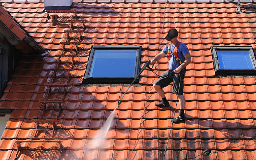 Roof Soft Washing